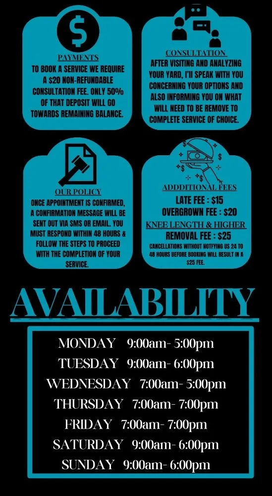 Local garden landscaping in West Palm Beach, FL - Rahman Services