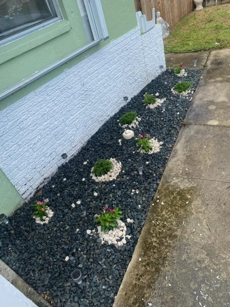 Reliable yard cleanup service in West Palm Beach, FL - Rahman Services