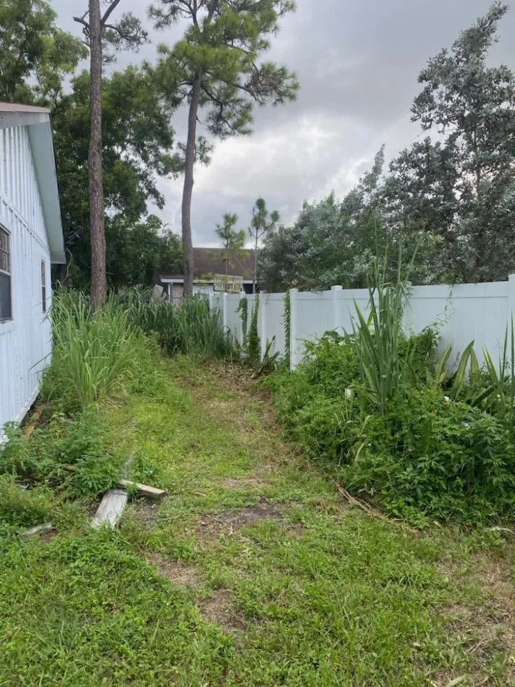 Local lawn care service for beautiful yards across West Palm Beach, FL - Rahman Services