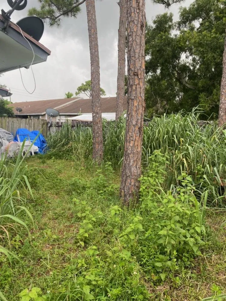 Custom landscape installation in West Palm Beach, FL - Rahman Services