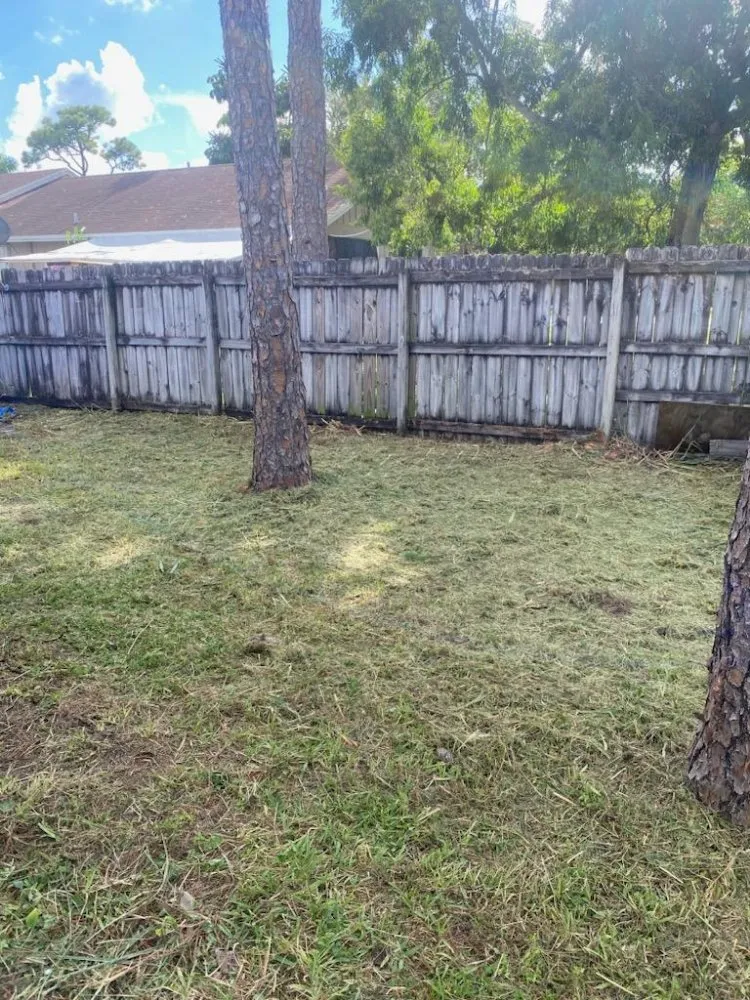 Affordable lawn care service for year-round maintenance across West Palm Beach, FL - Rahman Services