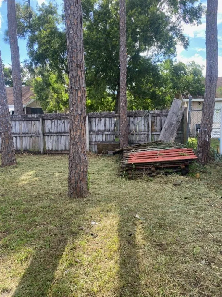 Top-rated outdoor landscaping in West Palm Beach, FL - Rahman Services