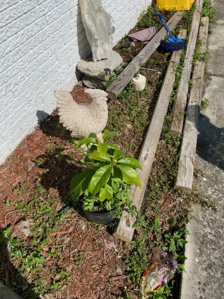 Custom outdoor landscaping for beautiful yards across West Palm Beach, FL - Rahman Services