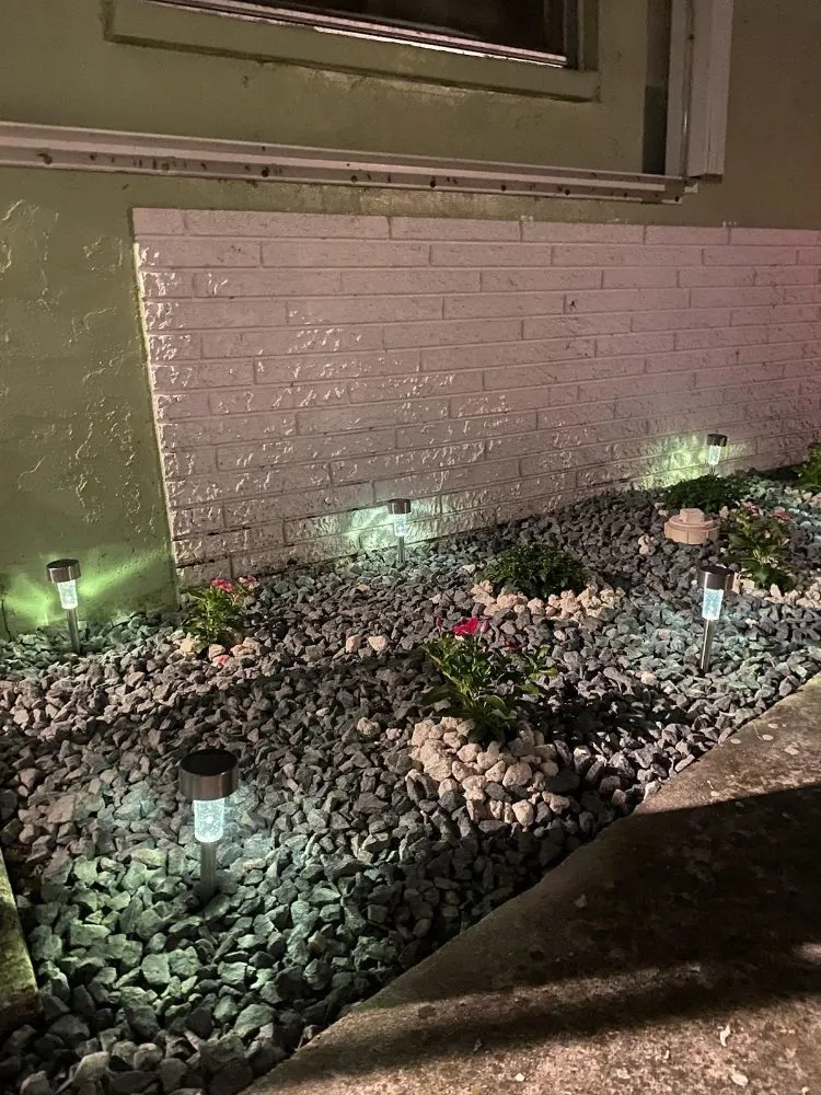 Reliable yard cleanup service experts serving West Palm Beach, FL - Rahman Services