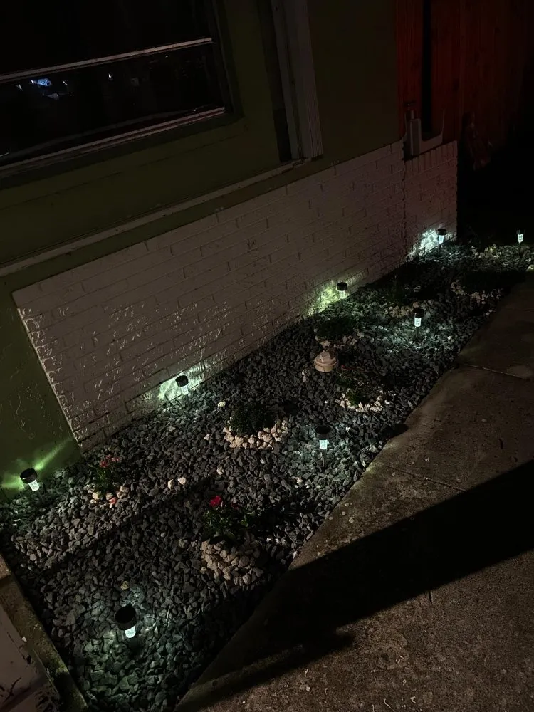 Trusted yard maintenance experts serving West Palm Beach, FL - Rahman Services