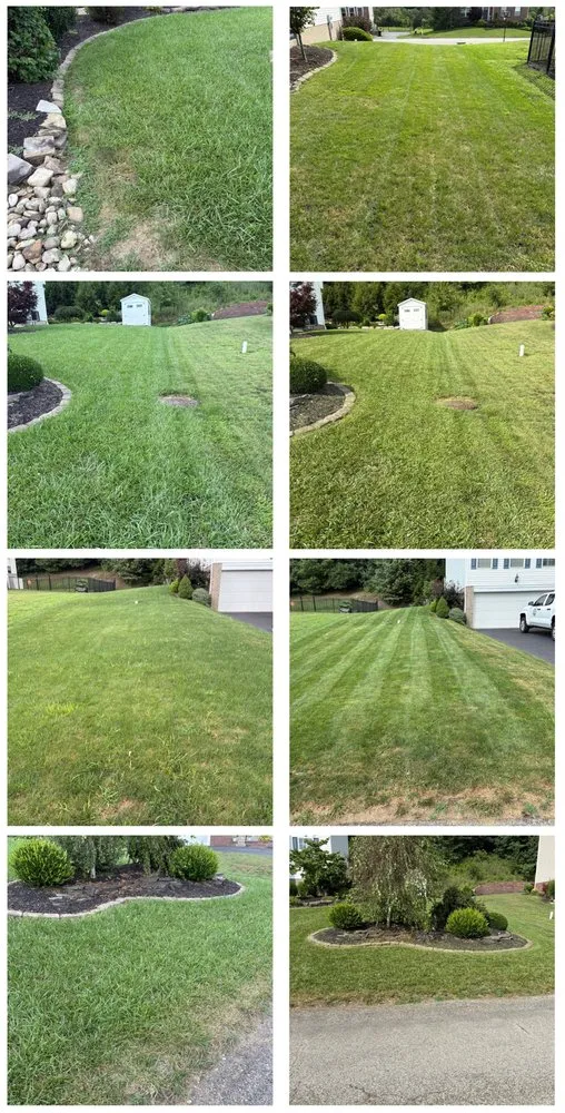 Affordable yard maintenance near you in Jefferson Hills, PA by Rahn’s Lawns