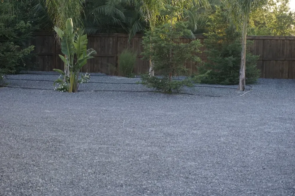Top-rated yard cleanup service in Yuba City, CA by Rai Lawn Services