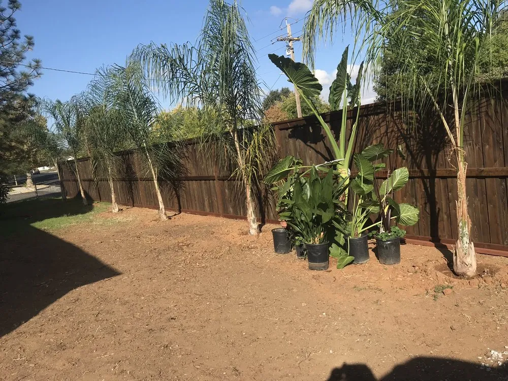 Reliable landscape design experts serving Yuba City, CA - Rai Lawn Services