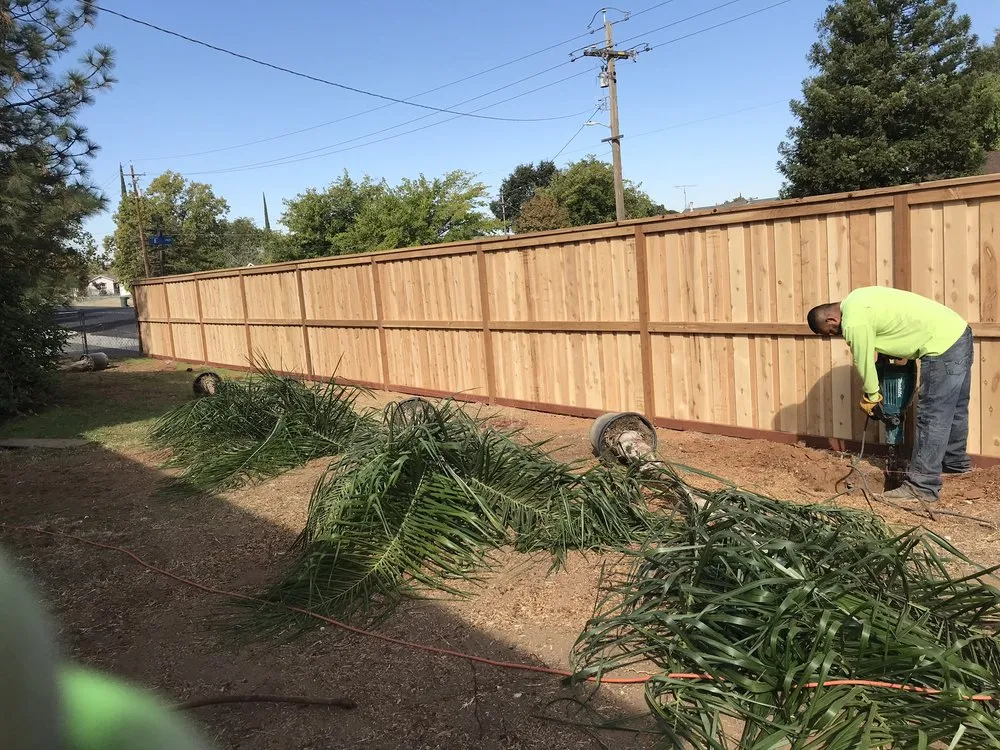 Top-rated yard maintenance for beautiful yards across Yuba City, CA - Rai Lawn Services