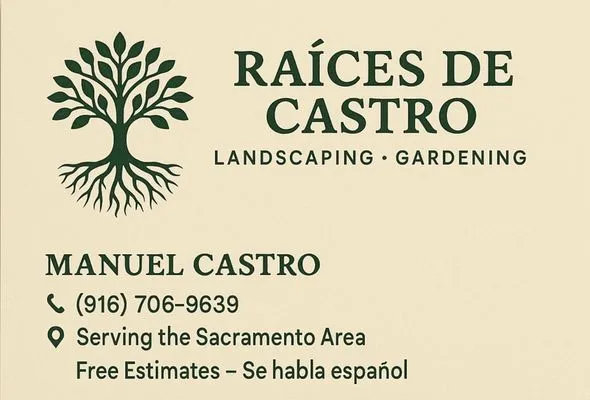 Raices De Castro Logo