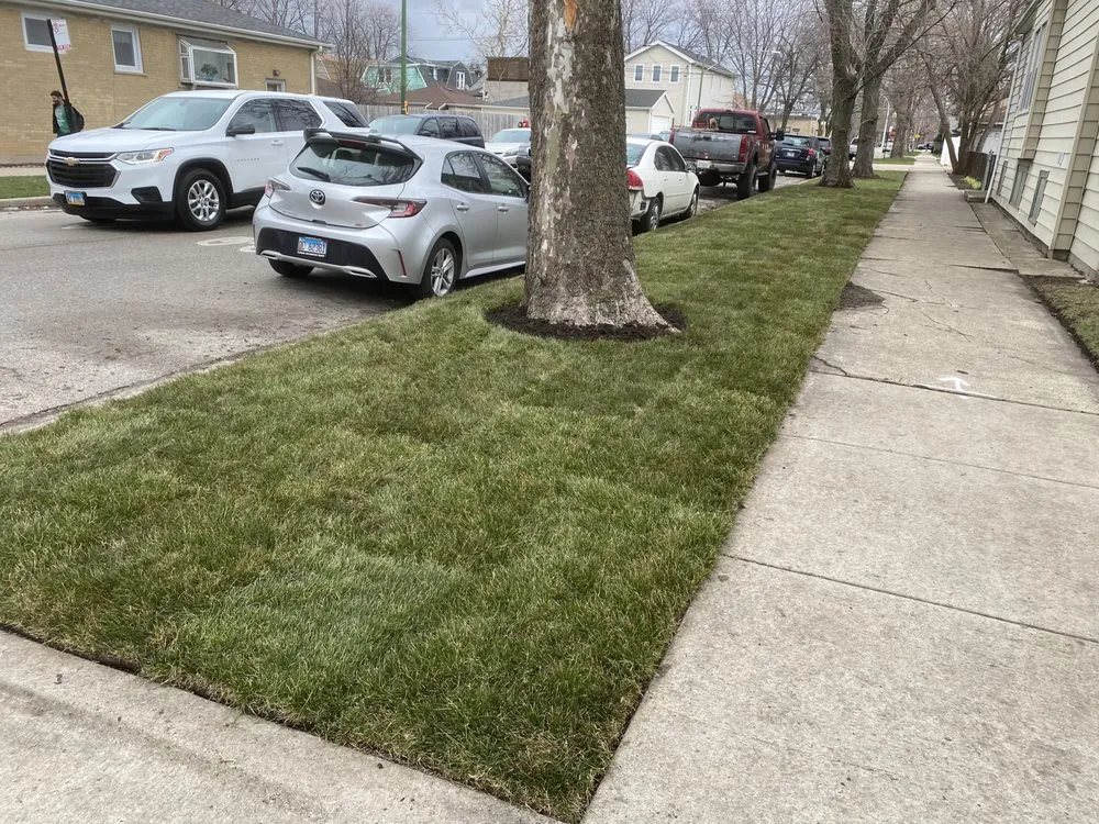 Top-rated yard maintenance in Chicago, IL by Raices Landscapes