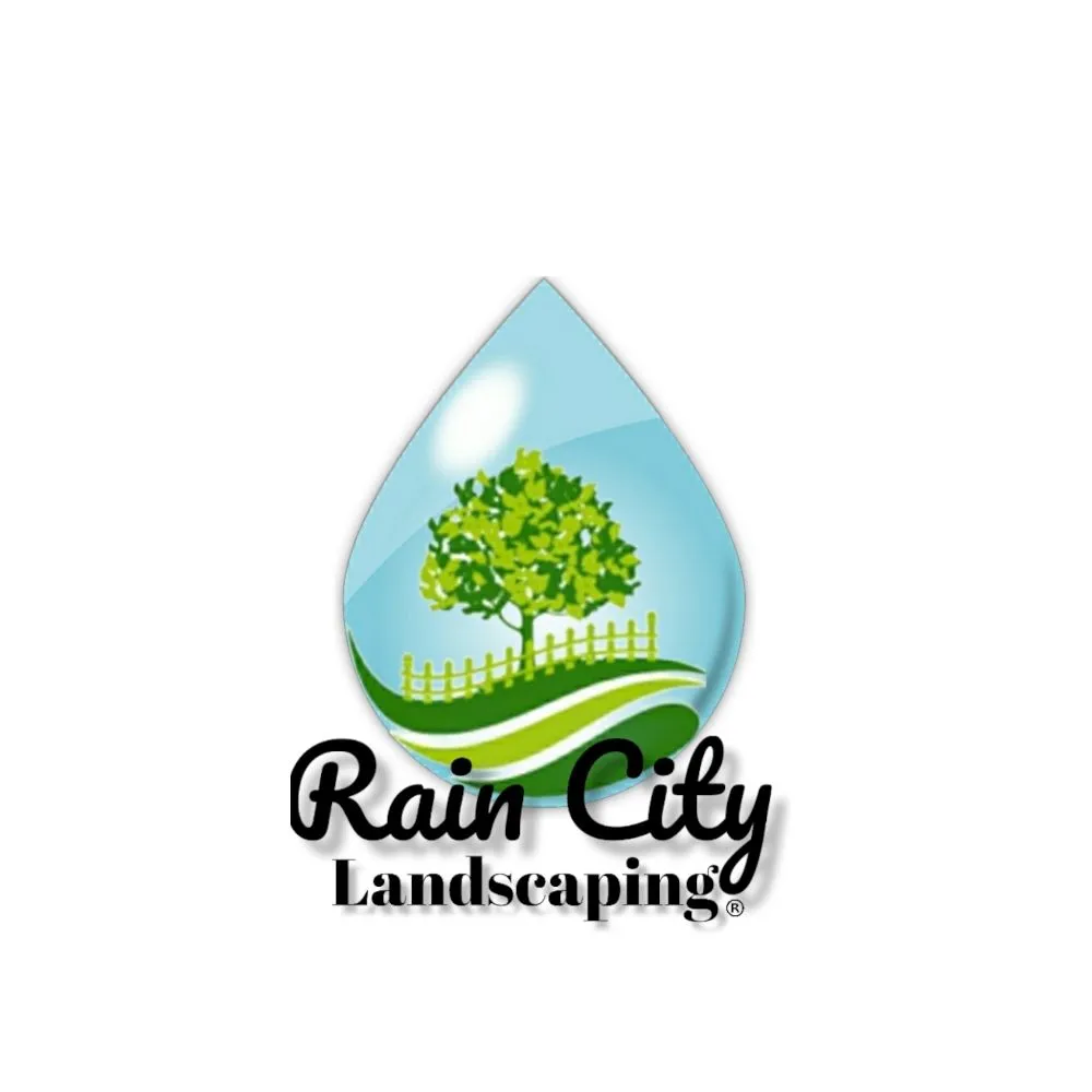 Professional yard cleanup service for year-round maintenance across Marysville, WA - Rain City Landscape