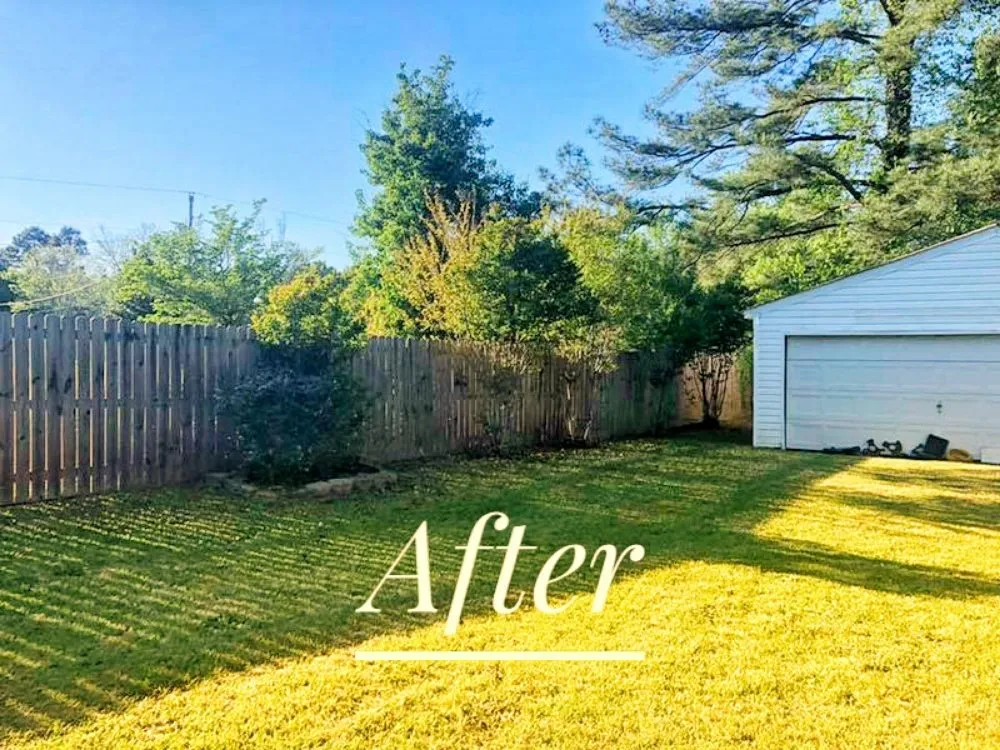 Affordable lawn mowing service in Marysville, WA by Rain City Landscape