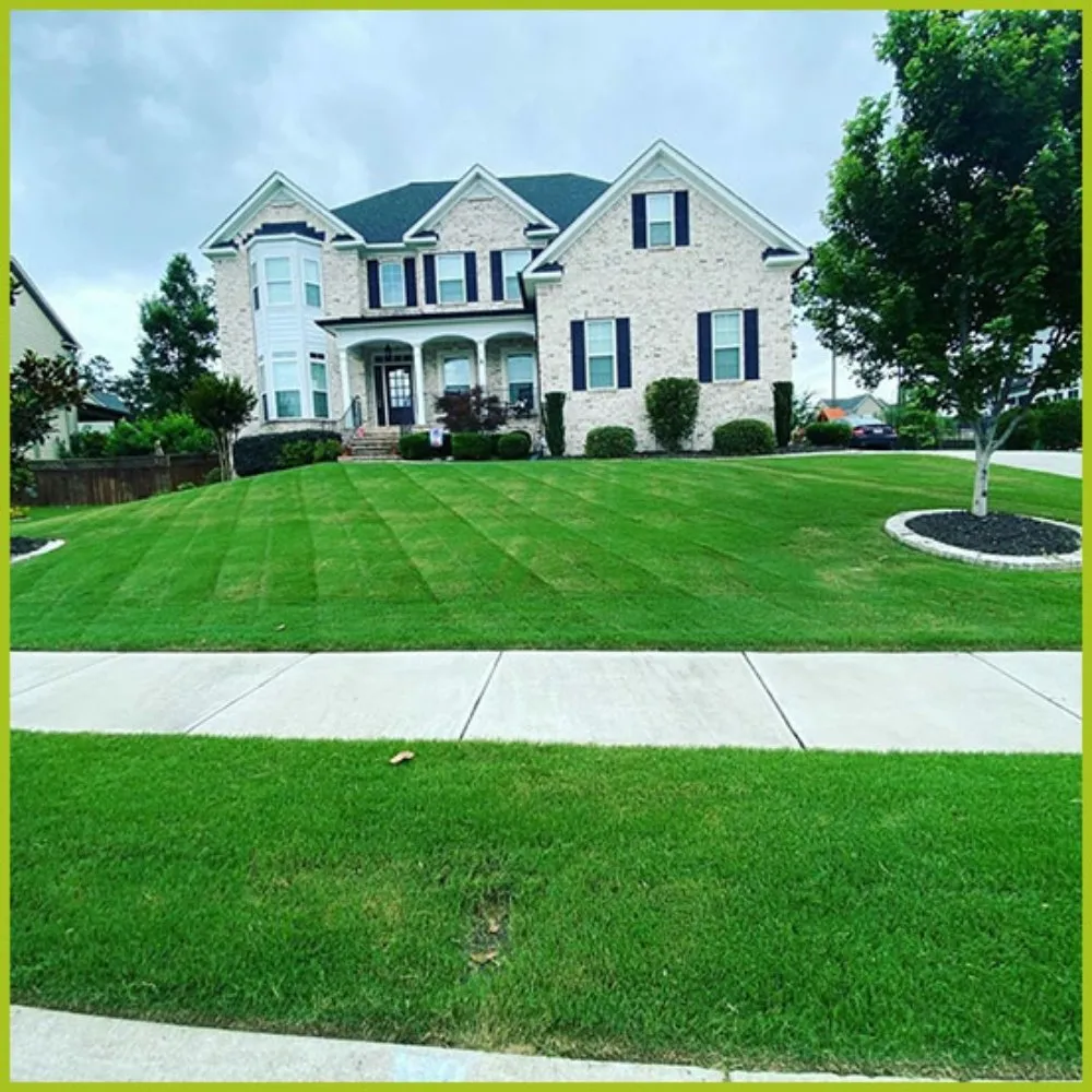 Trusted yard cleanup service for homes in Marysville, WA by Rain City Landscape