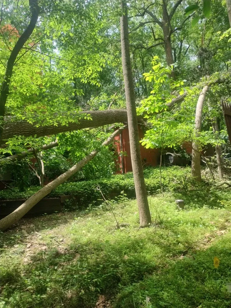 Expert outdoor landscaping for residential properties across Culpeper, VA - Rain Drops