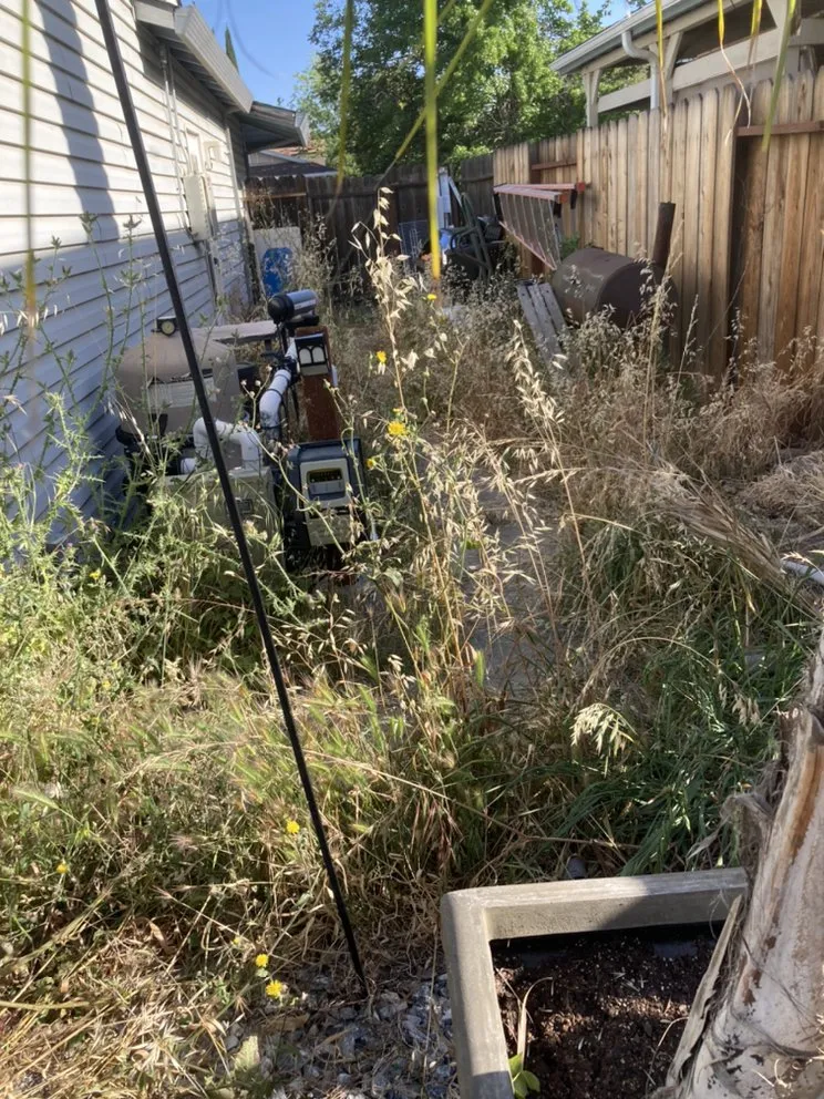 Reliable yard maintenance experts serving Vacaville, CA - Rain Forest Gardening Services