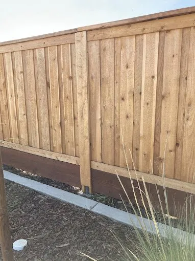 Local landscape design experts serving Vacaville, CA - Rain Forest Gardening Services