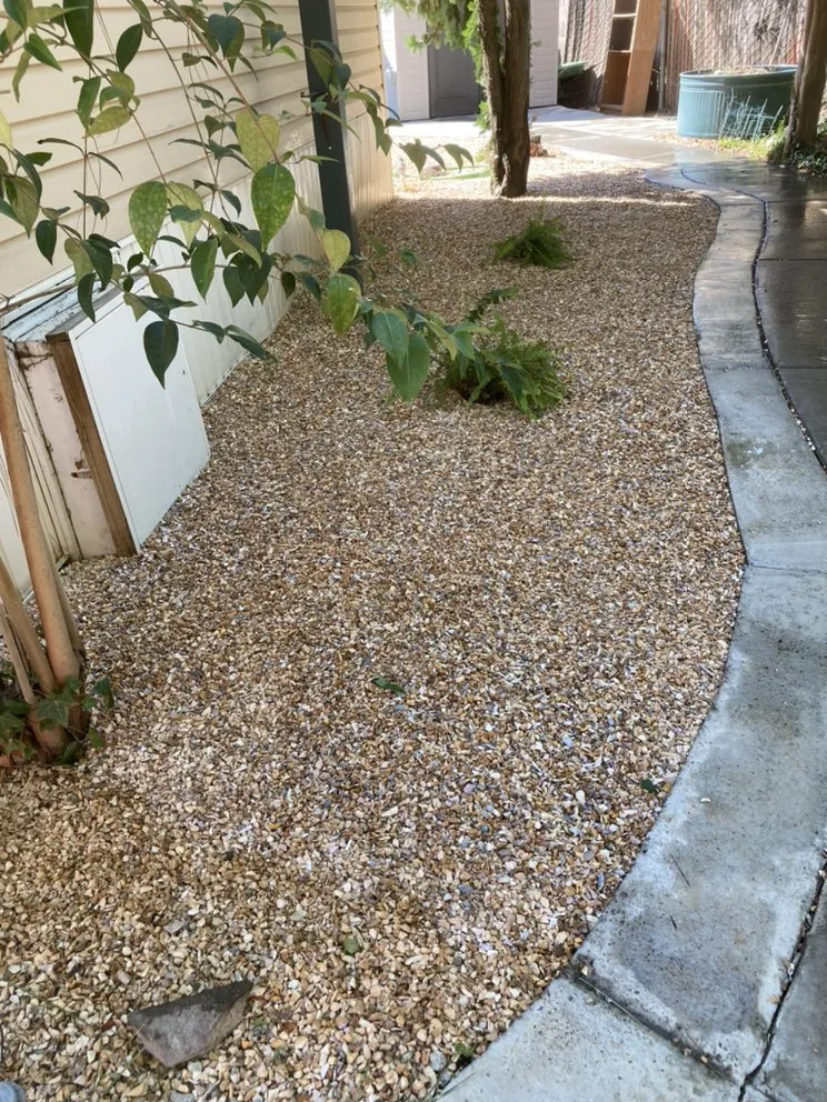 Professional yard cleanup service with custom design across Vacaville, CA - Rain Forest Gardening Services