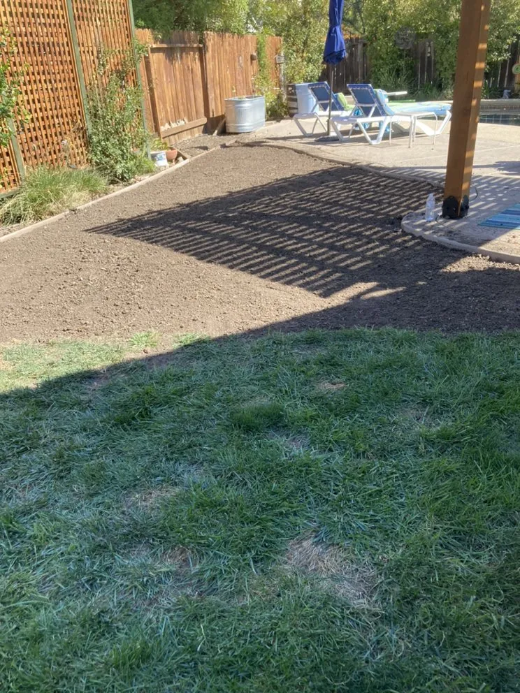 Top-rated lawn mowing service in Vacaville, CA by Rain Forest Gardening Services