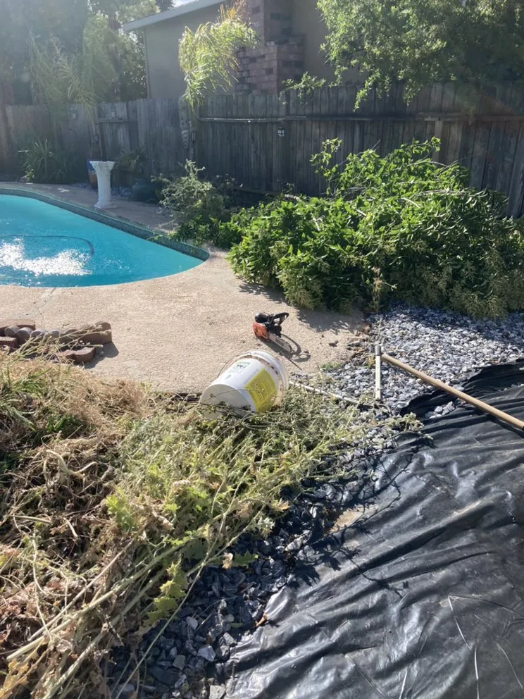 Trusted residential landscaping in Vacaville, CA by Rain Forest Gardening Services