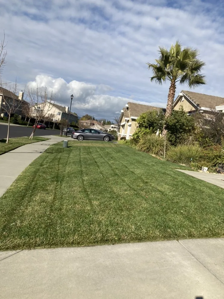 Affordable residential landscaping in Vacaville, CA - Rain Forest Gardening Services