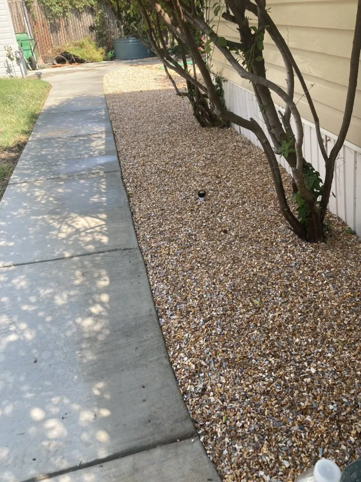 Reliable garden landscaping in Vacaville, CA - Rain Forest Gardening Services