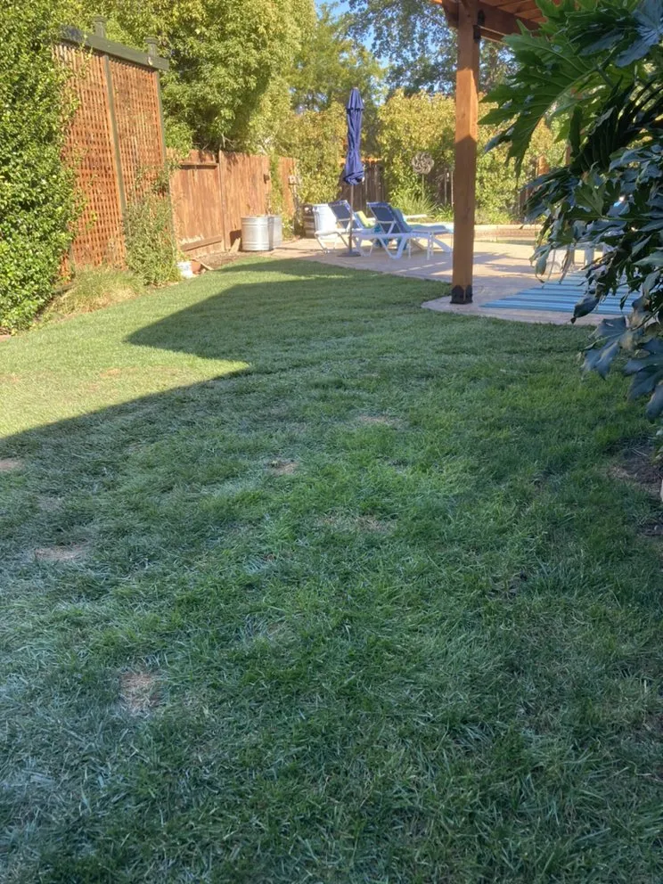 Trusted yard maintenance near you in Vacaville, CA by Rain Forest Gardening Services