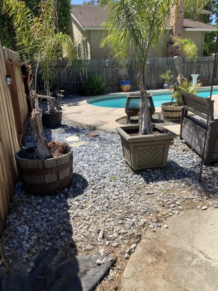 Reliable landscaping services experts serving Vacaville, CA - Rain Forest Gardening Services