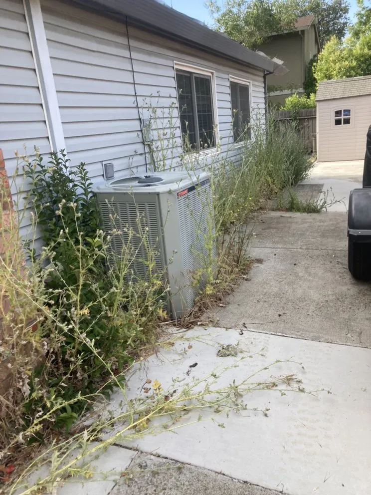 Professional residential landscaping experts serving Vacaville, CA - Rain Forest Gardening Services