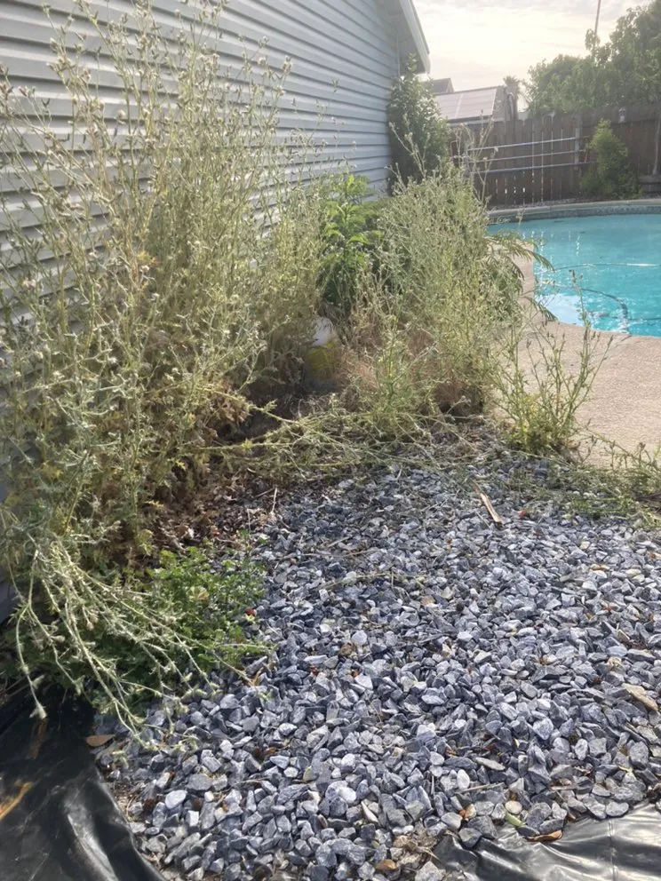 Top-rated residential landscaping for outdoor upgrades across Vacaville, CA - Rain Forest Gardening Services