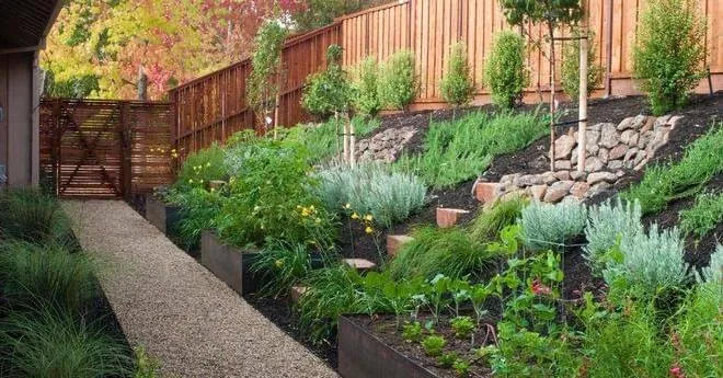 Local yard maintenance experts serving Vacaville, CA - Rain Forest Gardening Services
