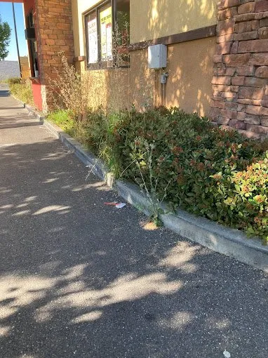 Reliable lawn mowing service with custom design across Vacaville, CA - Rain Forest Gardening Services