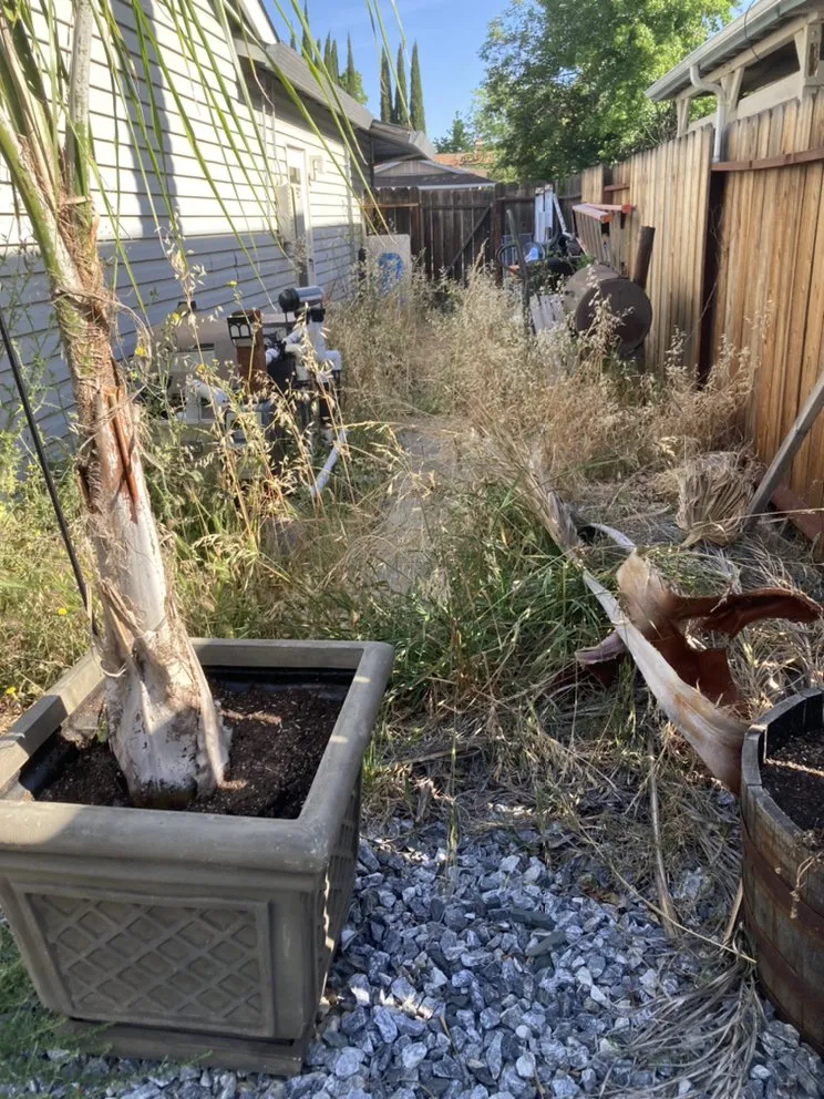 Expert landscape design with custom design across Vacaville, CA - Rain Forest Gardening Services