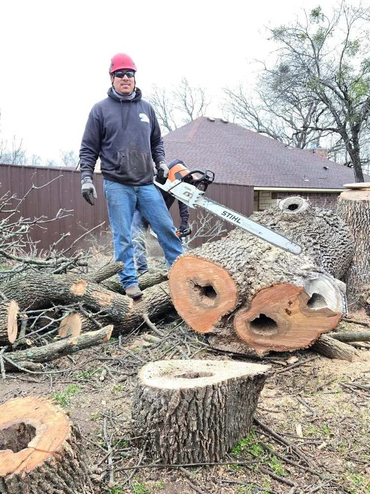 Trusted lawn care service experts serving Palmer, TX - Rain Forest Landscaping