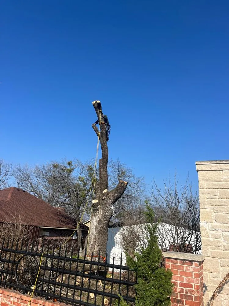 Trusted lawn care service in Palmer, TX by Rain Forest Landscaping