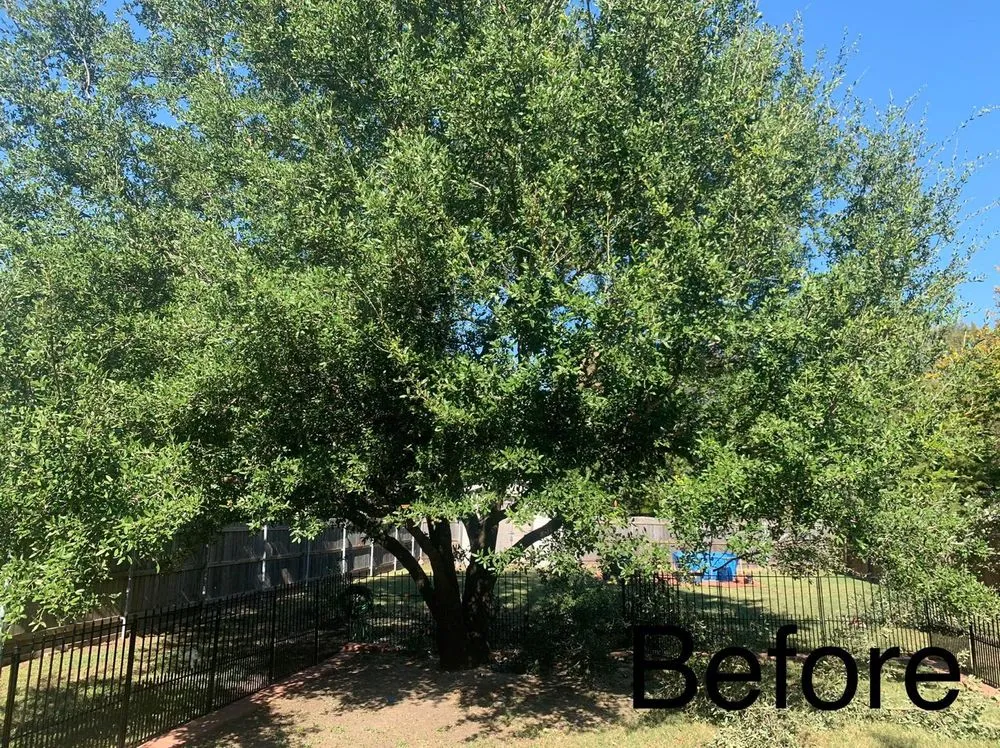 Affordable yard maintenance for outdoor upgrades across Palmer, TX - Rain Forest Landscaping