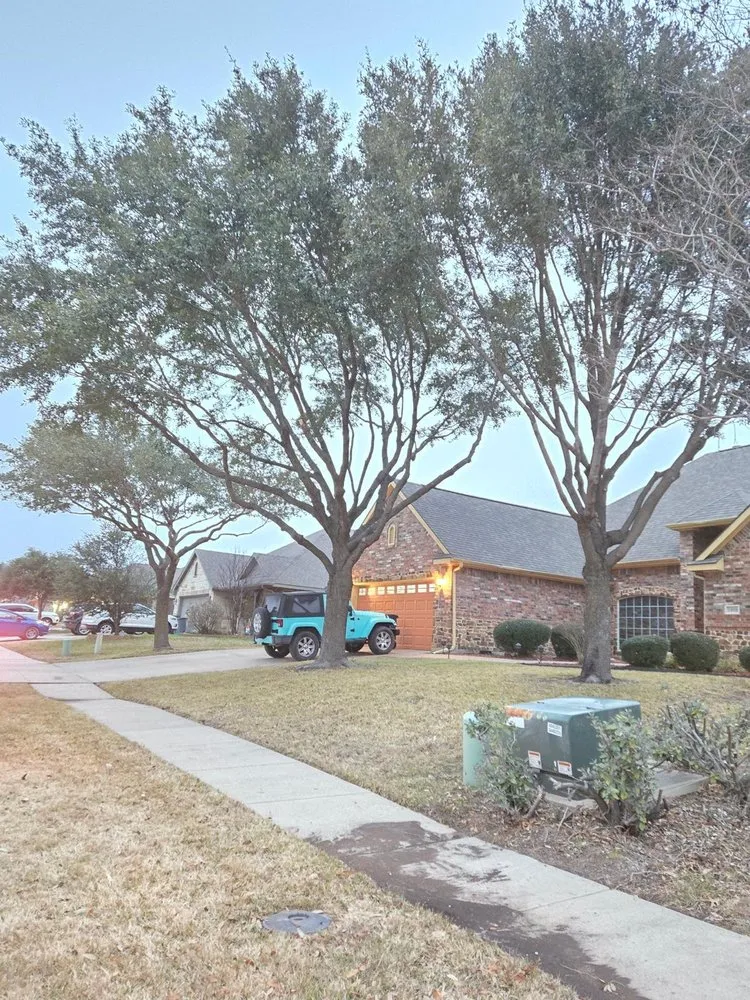 Reliable yard maintenance for year-round maintenance in Palmer, TX by Rain Forest Landscaping