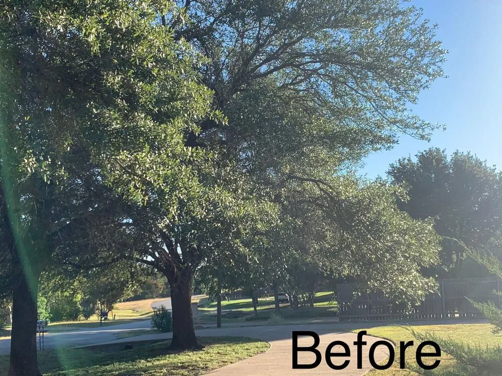 Reliable landscape design experts serving Palmer, TX - Rain Forest Landscaping