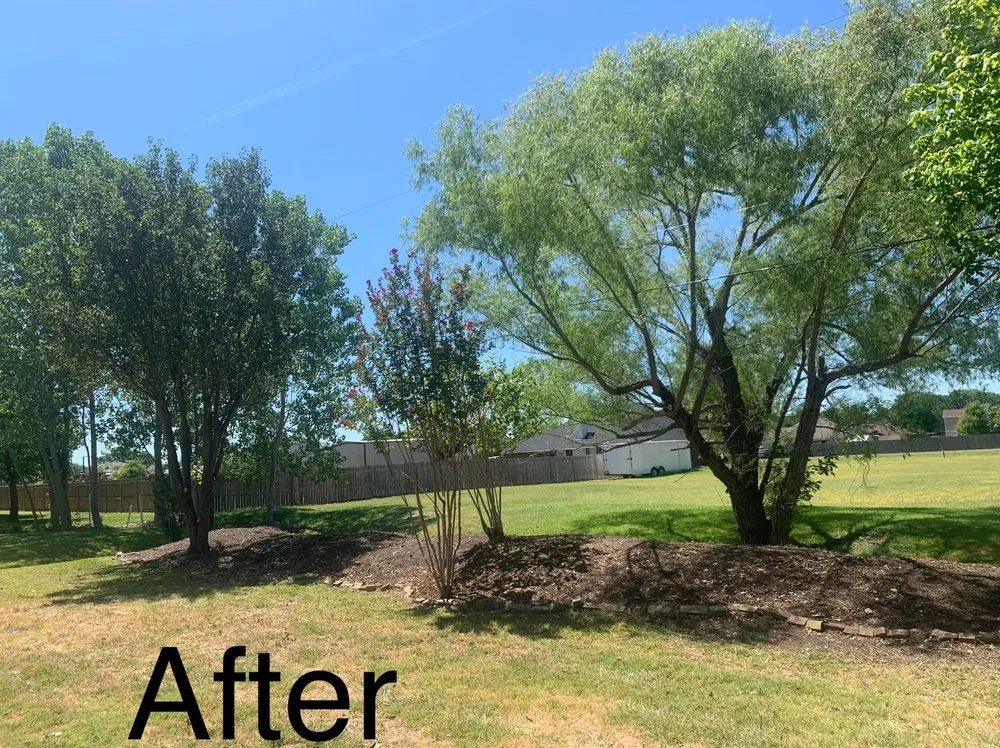 Affordable yard cleanup service near you across Palmer, TX - Rain Forest Landscaping