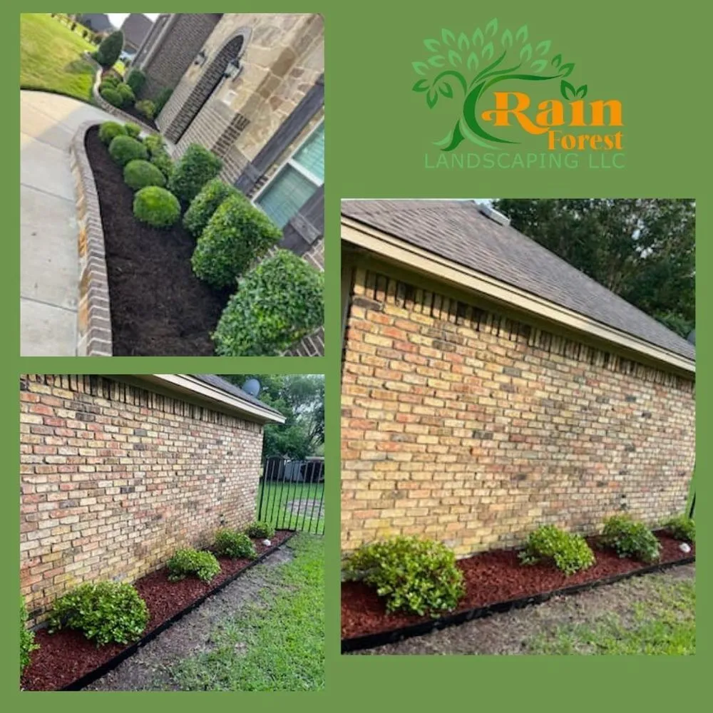 Trusted landscape installation for homes across Palmer, TX - Rain Forest Landscaping