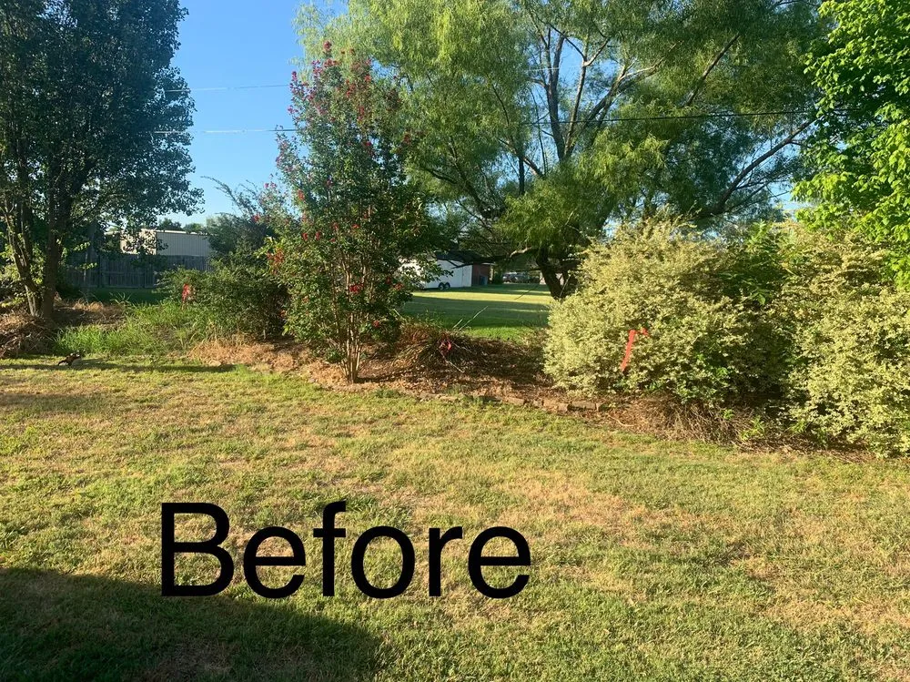 Professional outdoor landscaping in Palmer, TX by Rain Forest Landscaping