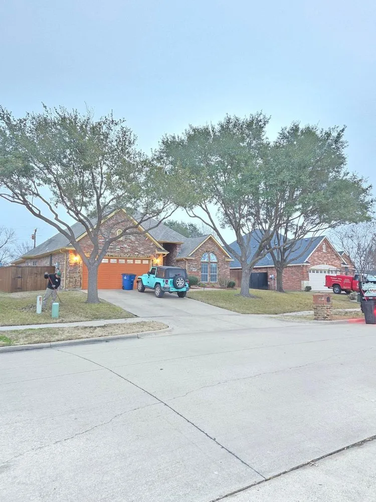 Expert landscaping services experts serving Palmer, TX - Rain Forest Landscaping