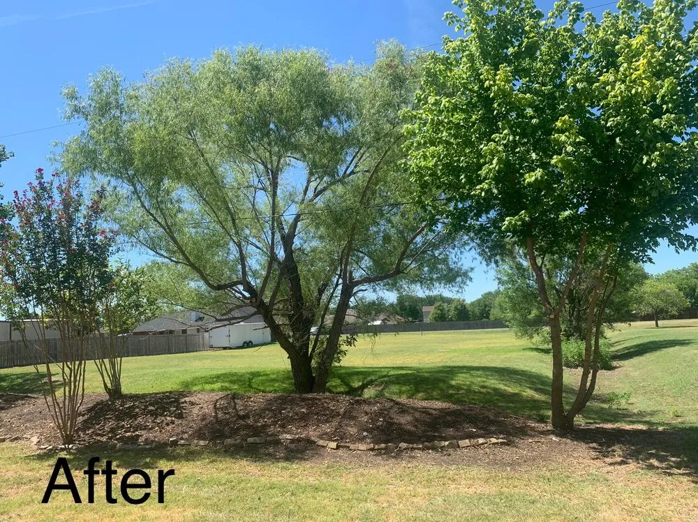 Local yard maintenance experts serving Palmer, TX - Rain Forest Landscaping