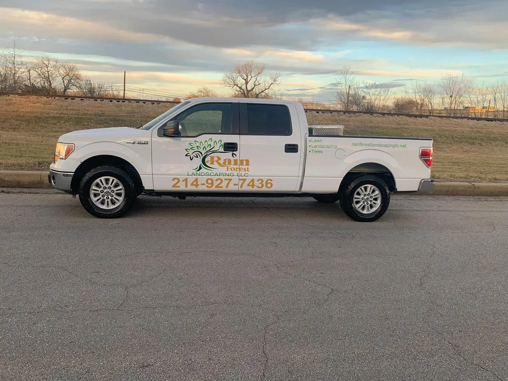 Trusted landscaping services in Palmer, TX by Rain Forest Landscaping