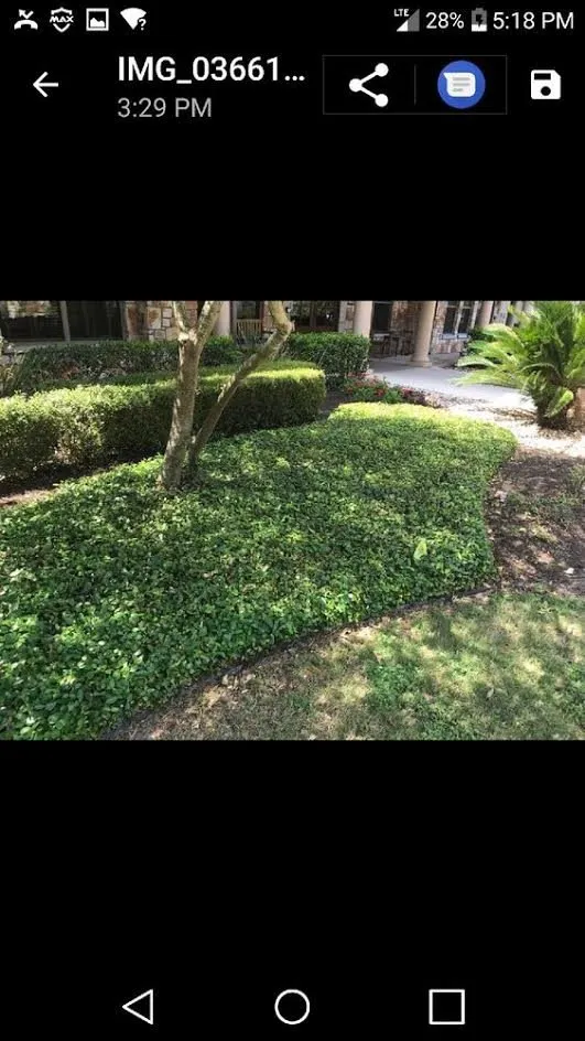 Trusted garden landscaping for beautiful yards across San Marcos, TX - Rain-gler Landscaping