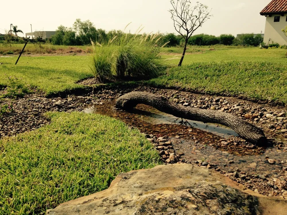 Professional landscaping services in McAllen, TX by Rain Hunters Landscaping