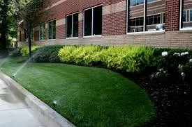 Expert outdoor landscaping in Apex, NC - Rain or Shine Landscapes