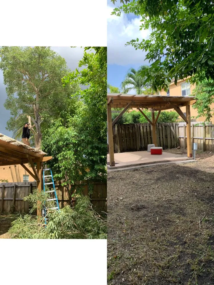 Reliable outdoor landscaping for outdoor upgrades across Miami, FL - Rain or Shine Landscaping