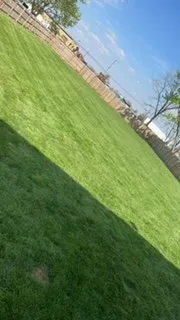 Reliable outdoor landscaping in Lima, OH - Rain or shine LawnCare