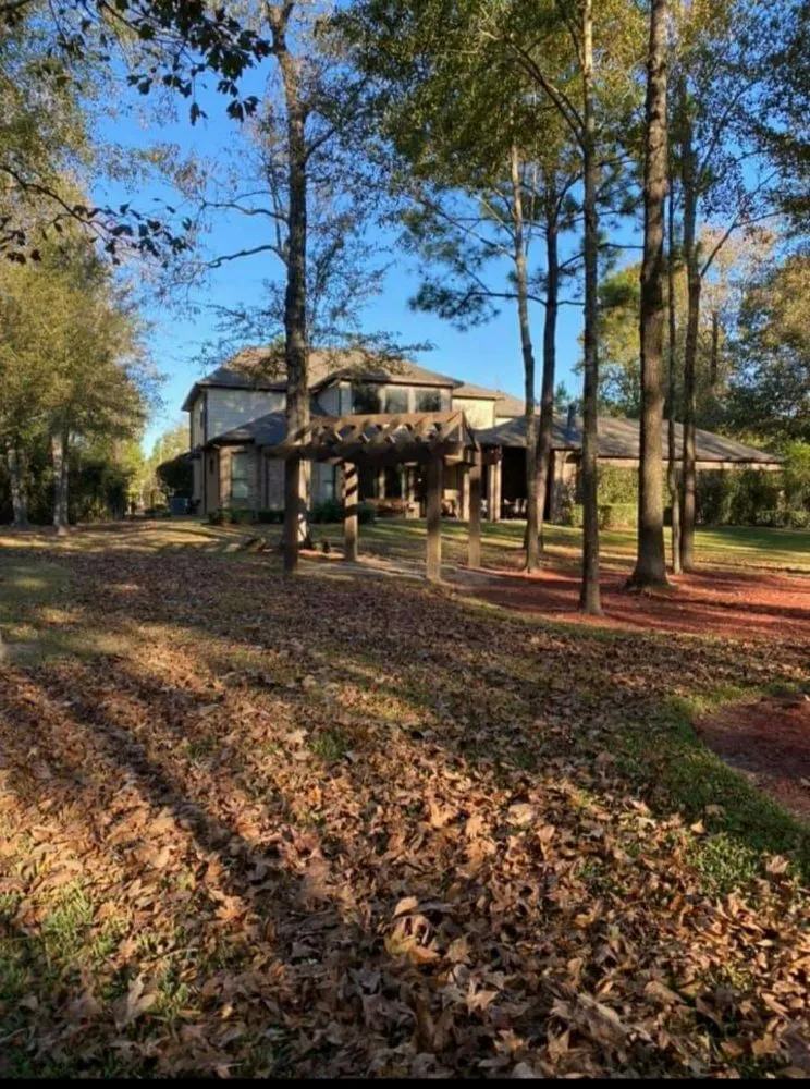 Expert landscaping services for outdoor upgrades in Houston, TX by Rain or Shine Lawns & Landscaping